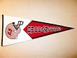 Tampa Bay Buccaneers - NFL Football Classic (Pennants)