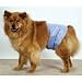 incontinence41 - Pooch Pants Male Wrap Large