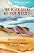 Book cover of The Place Names of New Mexico.
