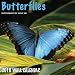 2010 Butterflies Wall Calendar