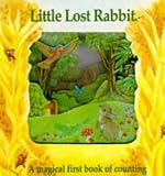 Little Lost Rabbit Bb (Magic Window Books)