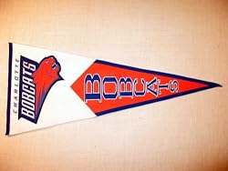 Charlotte Bobcats - NBA Basketball Classic (Pennants)