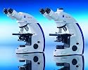 Carl Zeiss Primo Star Microscope
