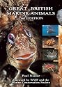 Great British Marine Animals