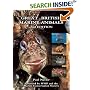 Great British Marine Animals