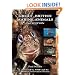 Great British Marine Animals