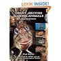Great British Marine Animals