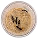 Live Butterfly Kit: Shipped with 10 Painted Lady Caterpillars Now- Pop Up Cage