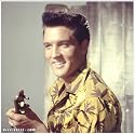Elvis - Paradise Hawaiian Style, Art Poster by Elvis Presley Enterprises, size 11" x 14"
