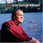 Walk On The Water by  David Taylor Wright 