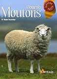 L'�levage des Moutons