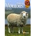 L'�levage des Moutons