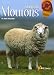 L'�levage des Moutons