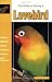 The Guide to Owning a Lovebird