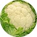 Cauliflower Art - Fridge Magnet - Fibreglass reinforced plastic - Novelty Décor and Ideal Gift for all Occassions