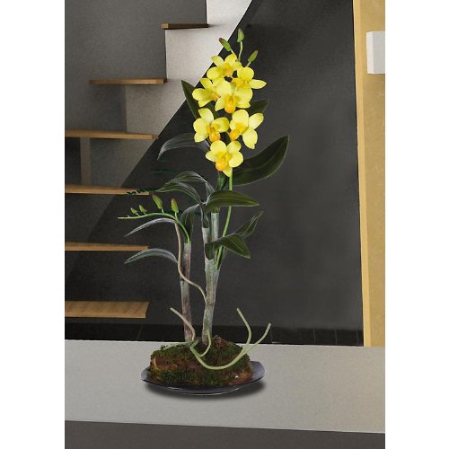 Nearly Natural 4321-YL Dendrobium with Black Circle Dish