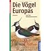 Vogelbestimmung
