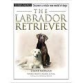 {THE LABRADOR RETRIEVER [WITH DOG TRAINING DVD] BY Morgan, Diane(Author)}The Labrador Retriever [With Dog Training DVD][Hardcover] ON 01-Aug,2005