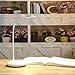 Eye Care 1200mAh Rechargeable Led Desk Lamp, FineWish Warm & Cold White Light Transfer, Unlimited Level Touch Sensor, Adjustable Gooseneck for Home, PC, Reading, Studying, Working (2W, Stand Design)