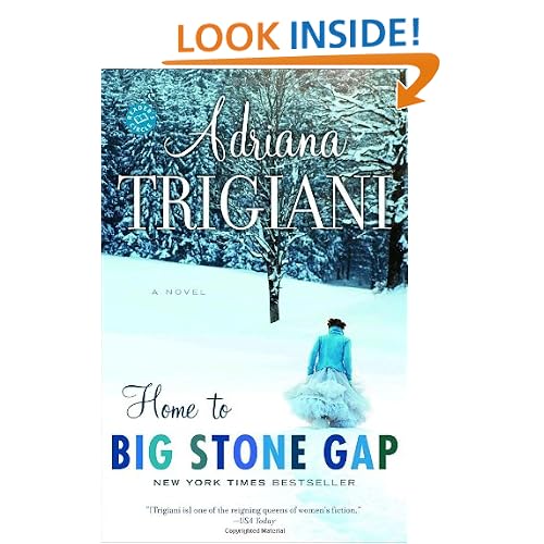 Home to Big Stone Gap: A Novel (Big Stone Gap Novels)