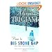 Home to Big Stone Gap: A Novel (Big Stone Gap Novels)