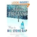 Home to Big Stone Gap: A Novel