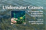 Underwater Grasses in Chesapeake Bay and Mid-Atlantic Coastal Waters: Guide to Identifying Submerged Aquatic Vegetation