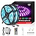 DAYBETTER Led Strip Lights 32.8ft Waterproof Flexible Tape Lights Color Changing 5050 RGB 300 LEDs Light Strips Kit with 44 Keys IR Remote Controller and 12V Power Supply for Home, Bedroom, Kitchen