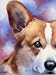 Welsh Corgi Dog Art Print Signed by Artist DJ Rogers