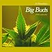 Book Ed Rosenthal's Big Buds 2005 Calendar