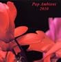 Pop Ambient 2010