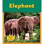 Elephant (Zoo Animals)