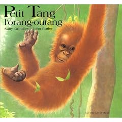 Petit Tang, l'orang-outang