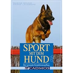 Sport mit dem Hund: Der gesunde Konditionsaufbau