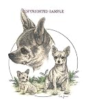 Chihuahua - Trio Image by Cindy Farmer