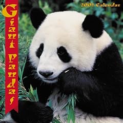 Giant Pandas 2001 Calendar (Animals)