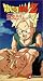 Dragon Ball Z - Majin Buu - Atonement (Uncut)