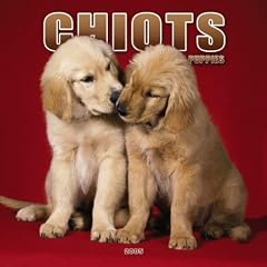 Chiot/puppies 2005 Calendar