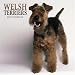 Welsh Terriers 2006 Wall Calendar