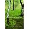 Landscape architecture - for beginners