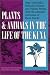 Plants and Animals in  the Life of the Kuna (LLILAS Translations from Latin America Series)