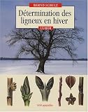 D�termination des ligneux en hiver