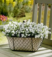 Summer Wire Basket