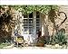 Photographic Prints of FRR-323 FRANCE - Blue chair a vine a net-curtained white door from Ardea Wildlife Pets