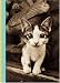 Kitten Smitten 5x7 Journal