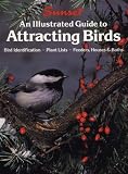 An Illustrated Guide to Attracting Birds