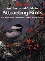An Illustrated Guide to Attracting Birds