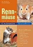 Rennmaeuse: Artgerecht halten und pflegen