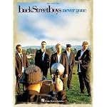 Backstreet Boys - Never Gone book cover