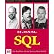 Write ADO.NET Database Software